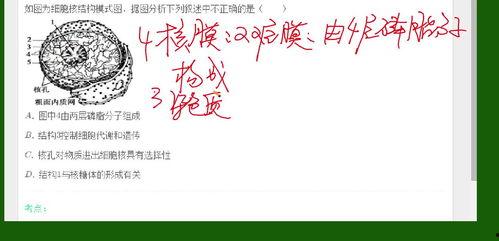 细胞核教学视频,生命活动的核心控制室揭秘