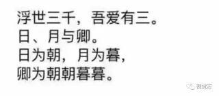 训练走马视频大全,领略传统马术魅力，感受速度与激情